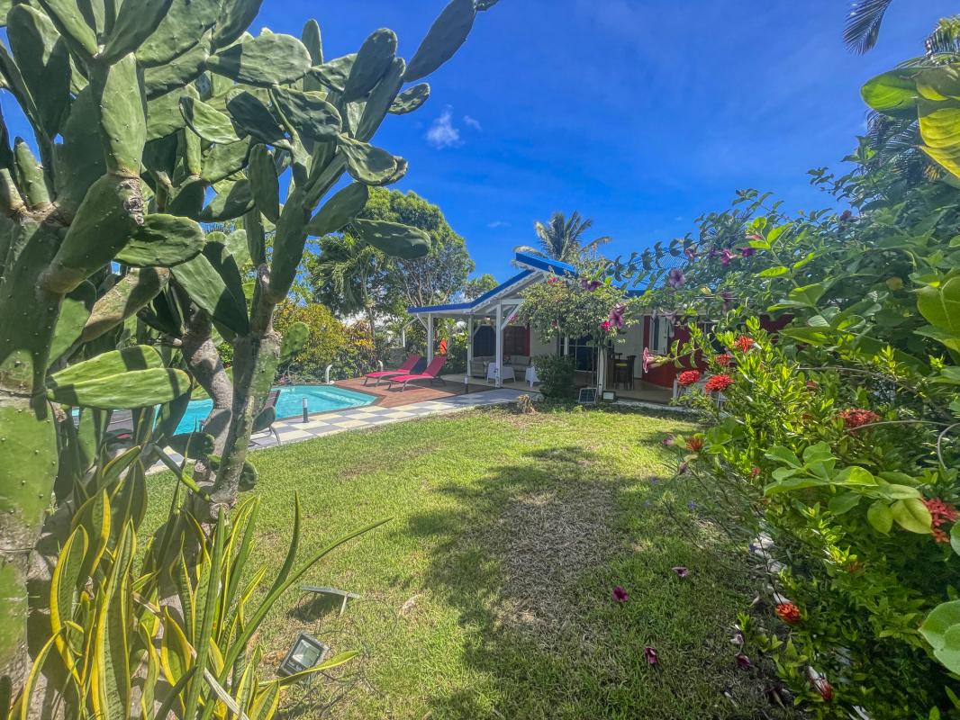 4.Location villa piscine St François Guadeloupe_Piscine